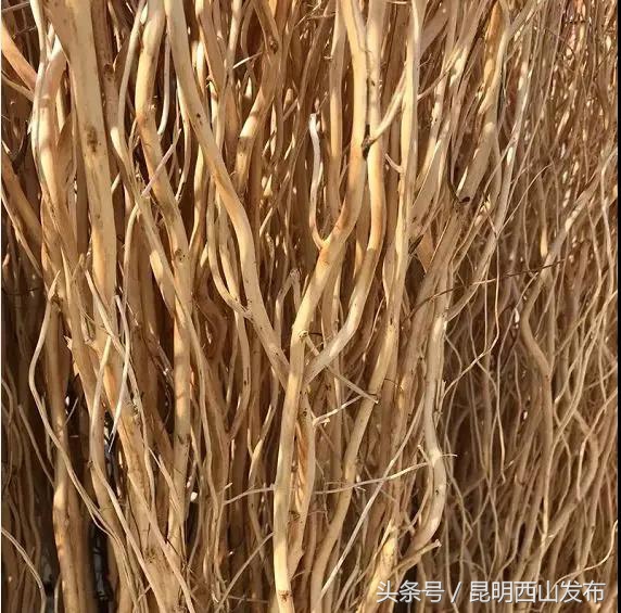 电商服务！将西山区团结街道的“山货”卖到了迪拜