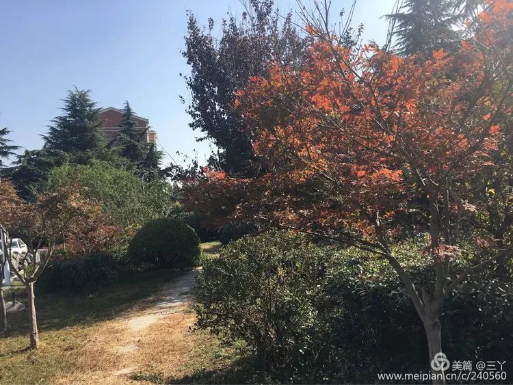 再见97,再见1997学校