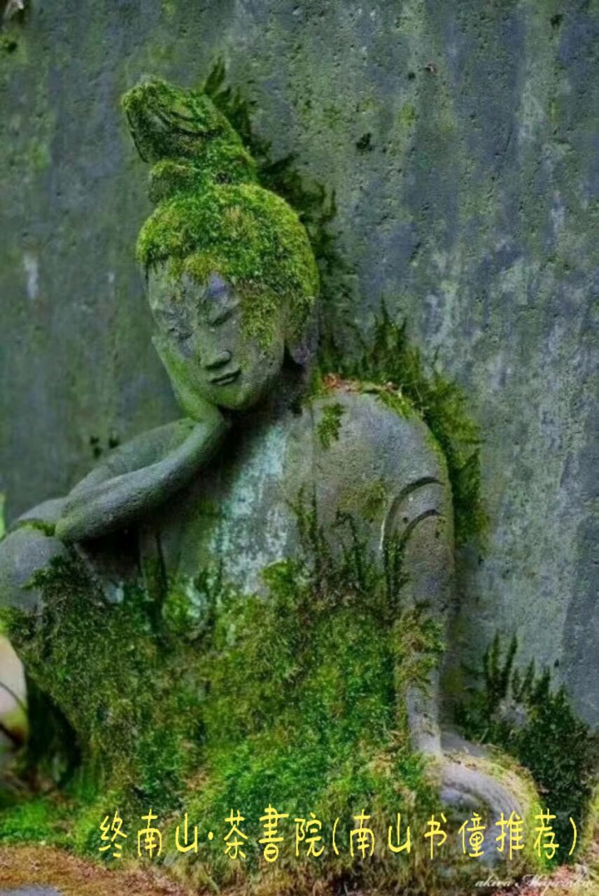 太乙游龙山终南茶书院——《问道》南山书僮文/尉迟英子