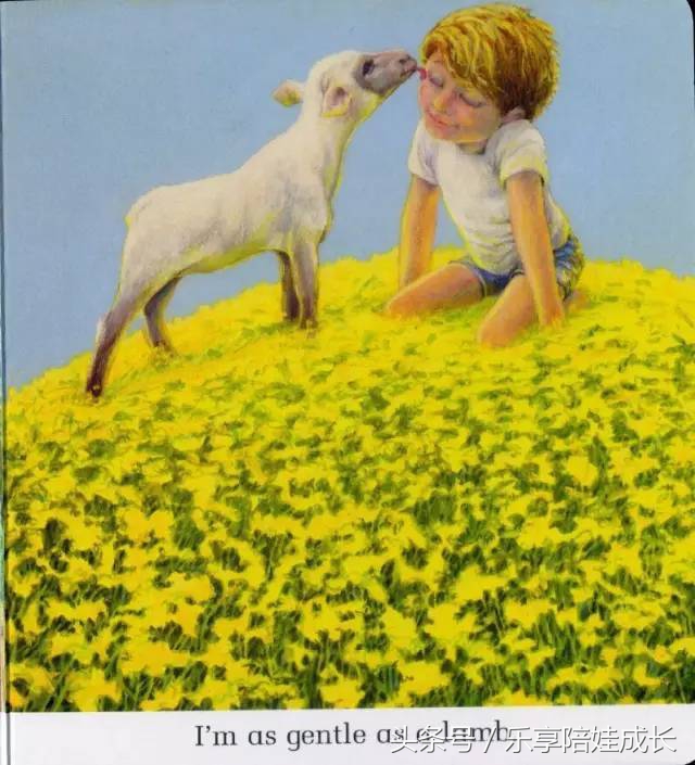 quickasacricket翻译,绘本磨耳朵故事视频