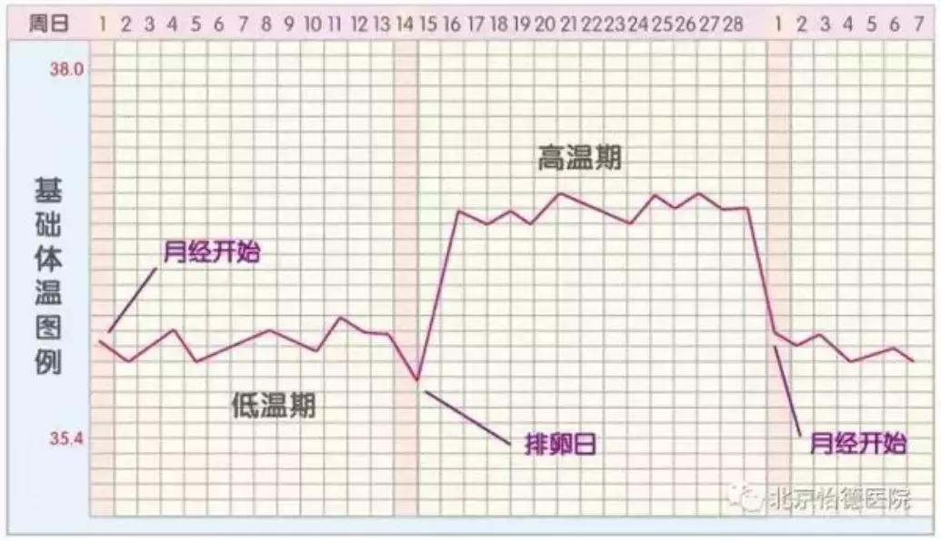 四种方法抓住排卵期，生殖专家助你精子卵子鹊桥会