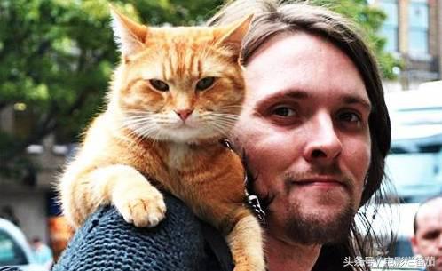 十一月这份片单,我敲锣打鼓的告诉你