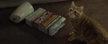 十一月这份片单,我敲锣打鼓的告诉你