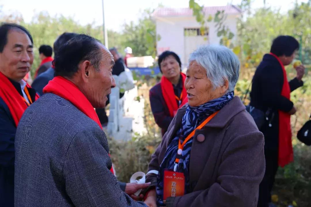 知青回沙河完整视频,北京沙河知青