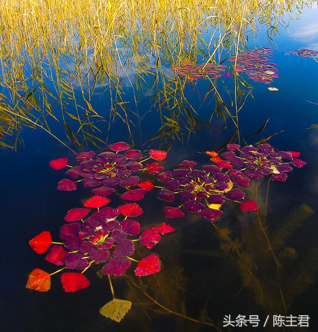 70张让人大开眼界的照片,50张让人惊艳的照片
