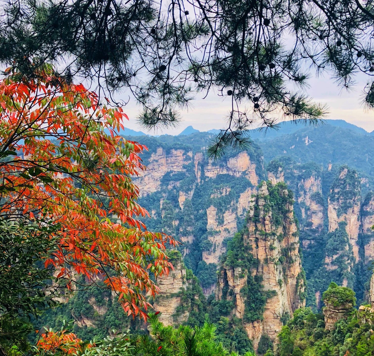 自由行攻略张家界,自由行张家界攻略