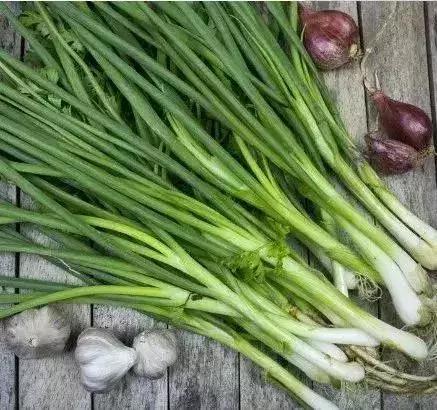 人最容易得的几大癌症,最易得的十种癌症