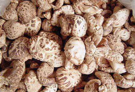 中国最美乡村水墨宏村游玩攻略,宏村旅游攻略民宿