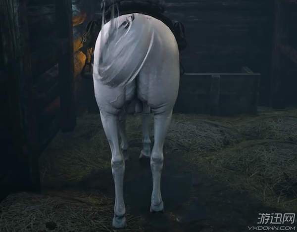 荒野大镖客各个存活成员位置,荒野大镖客最全面事件触发