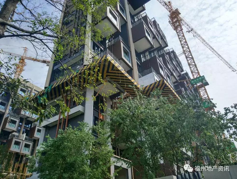 福州奥体新盘最新消息,踩盘的房源有哪些