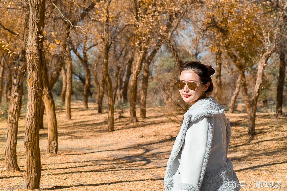 三千年守候额济纳完整版,大美金塔胡杨林