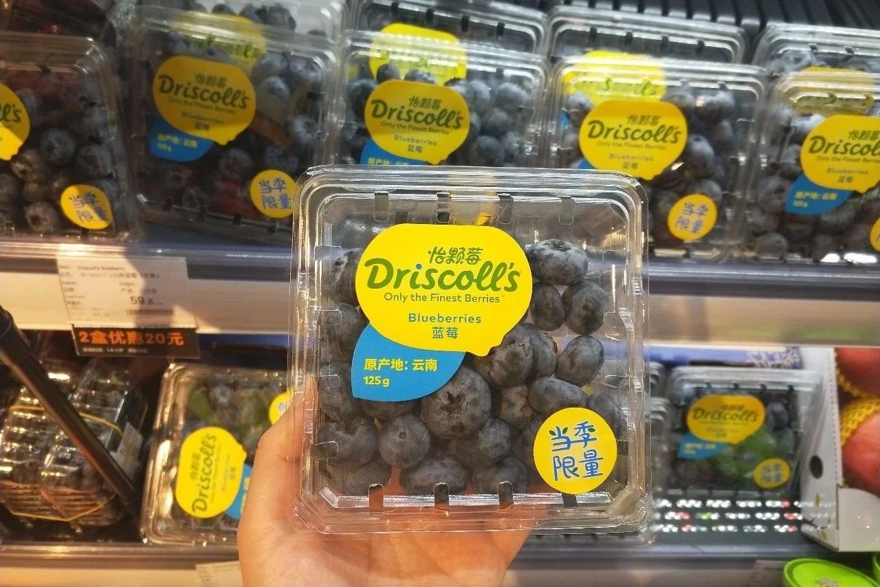 年货推荐！Olé精品超市里这么多新年礼盒，赶紧来收藏！