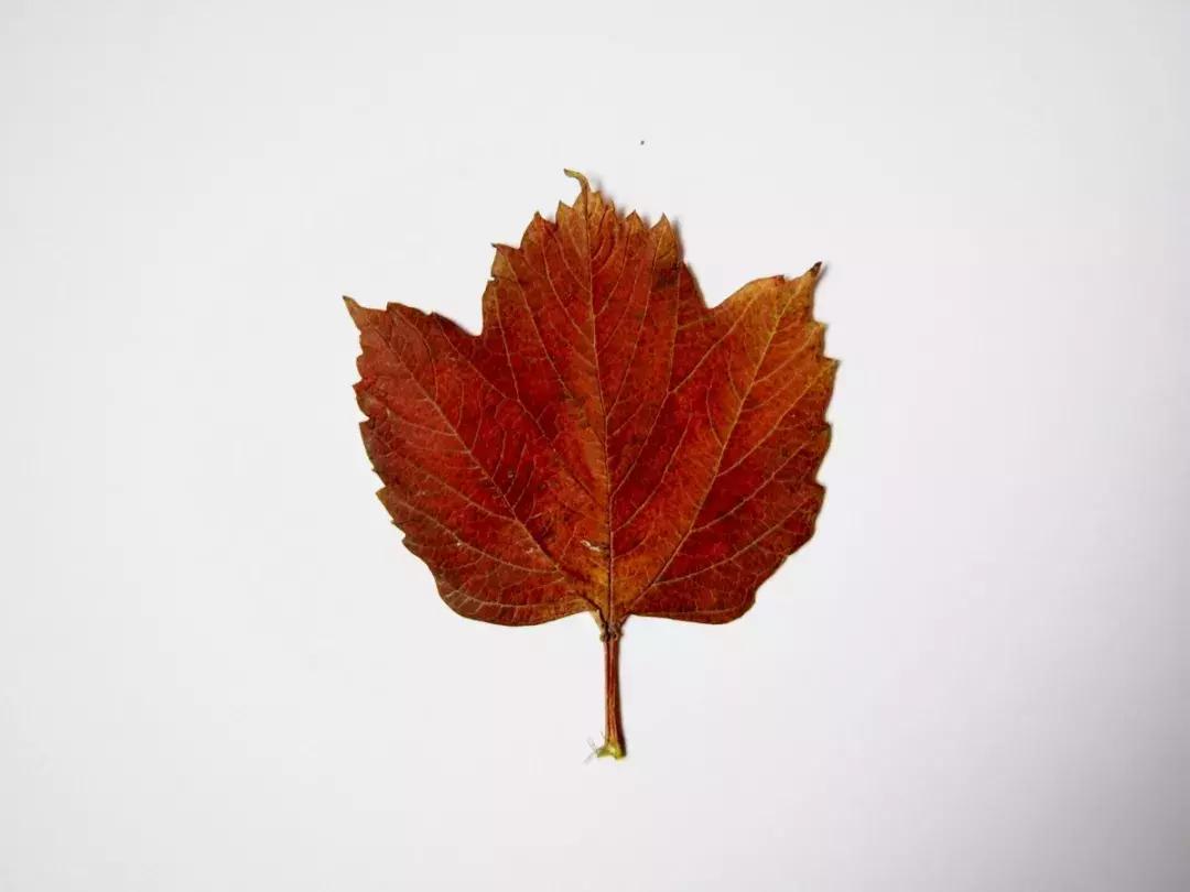 西山森林公园秋季爬山攻略,秋天西山国家森林公园