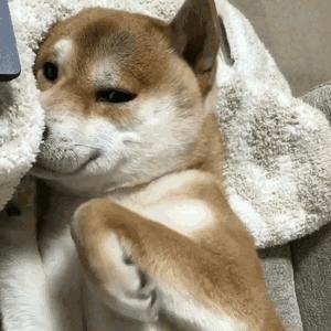 平价面膜10片装补水美白抗氧化,面膜推荐学生平价祛痘收缩毛孔