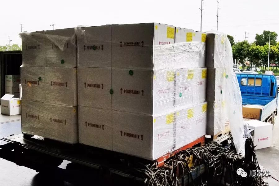 成都双流区领导到访顺景发，全球生鲜供应链生态圈继续推进