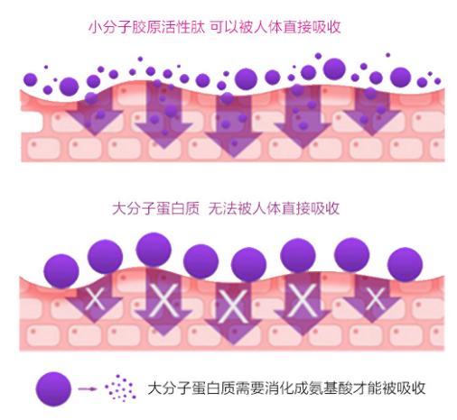 德国的胶原蛋白口服液,德国胶原蛋白玻尿酸口服液