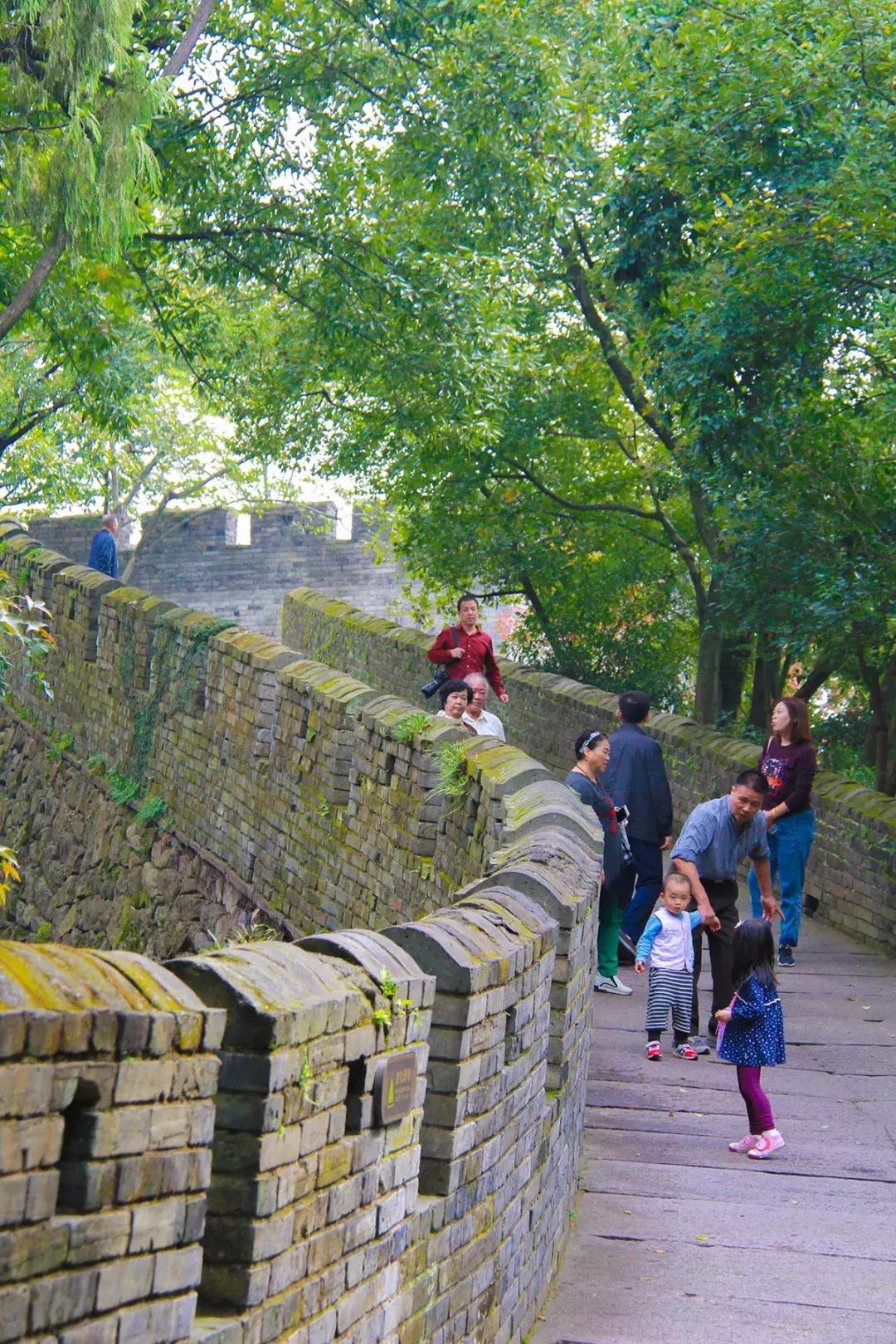娴欐睙鍙板窞瀹濊棌鐢峰,鍙板窞瀹濊棌鐢风敓