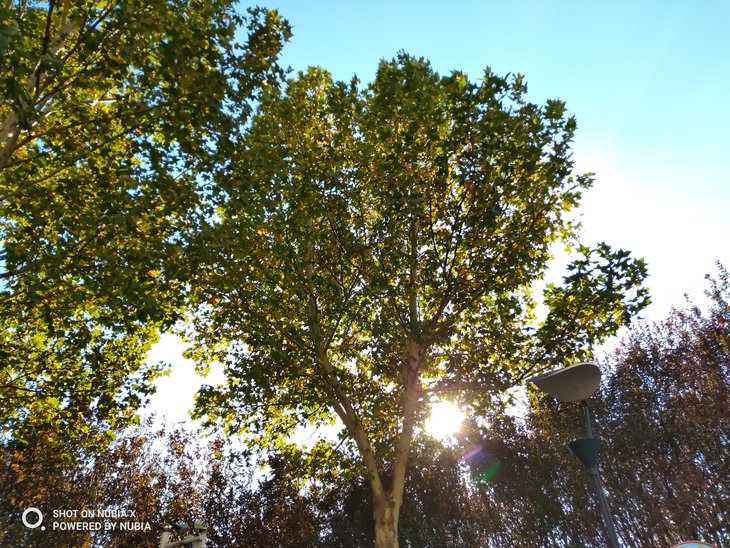 努比亚双摄旗舰曲面屏,努比亚x双屏测评