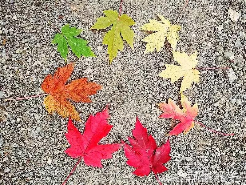 教你如何用手机拍出最好的照片,十个秘诀让你用手机拍出好照片