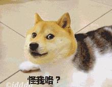 深圳诊所被罚事件,深圳2020年黑诊所处罚