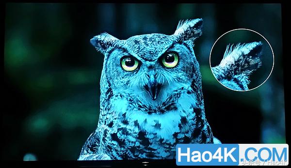 <html>
<head><title>502BadGateway</title></head>
<body>
<center><h1>502BadGateway</h1></center>
<hr><center>nginx</center>
</body>
</html>
<!--apaddingtodisableMSIEandChromefriendlyerrorpage-->
<!--apaddingtodisableMSIEandChromefriendlyerrorpage-->
<!--apaddingtodisableMSIEandChromefriendlyerrorpage-->
<!--apaddingtodisableMSIEandChromefriendlyerrorpage-->
<!--apaddingtodisableMSIEandChromefriendlyerrorpage-->
<!--apaddingtodisableMSIEandChromefriendlyerrorpage-->
