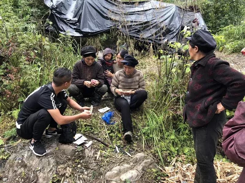 新鲜龙须笋的家常做法,龙须笋的正确食用方法