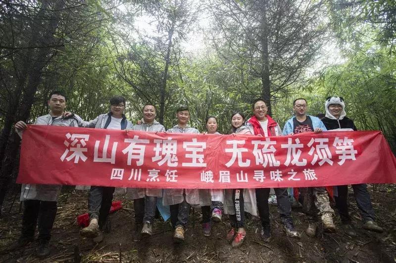 新鲜龙须笋的家常做法,龙须笋的正确食用方法