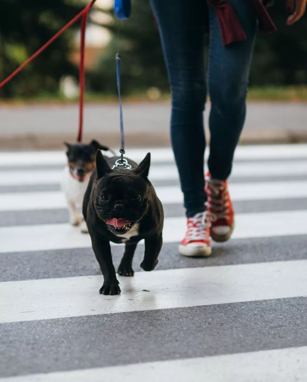 聊一聊焦虑症,千奇百怪的恐惧症