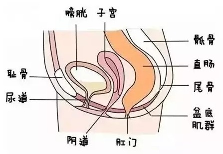 怎么改善宝妈漏尿,宝妈漏尿怎么改善