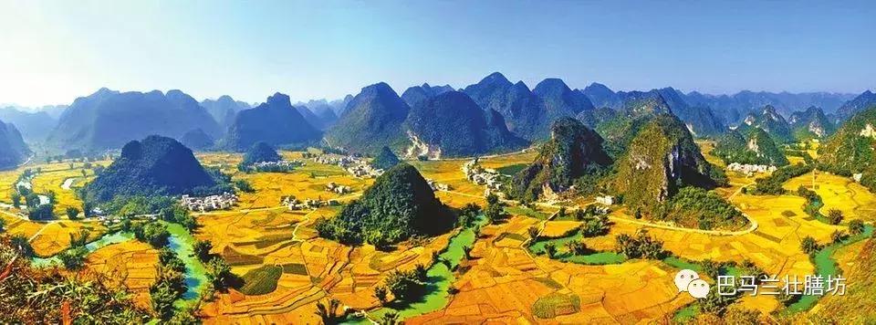 广西畅销的中药材,广西十大名贵药材排行榜