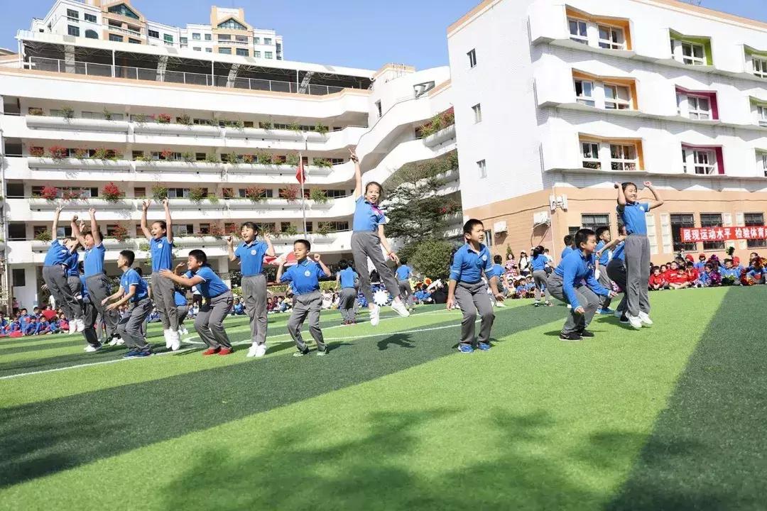 深圳小学top50,民办前十的学校排名深圳