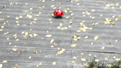 盘点那些奇葩又可爱的小玩具,那些恐怖又奇葩的玩具