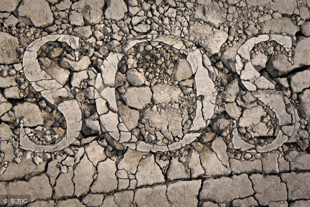 联合国气候大会热门话题,2020联合国气候峰会的思考