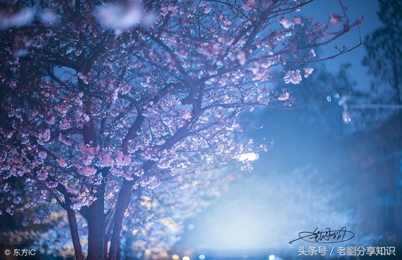 部编版九年级语文上册期末复习,人教版九年级语文上册期末知识点