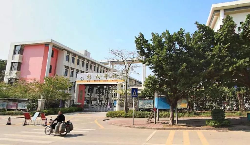 龙岗区私立小学排名前十,龙岗区小学质量排名一览表