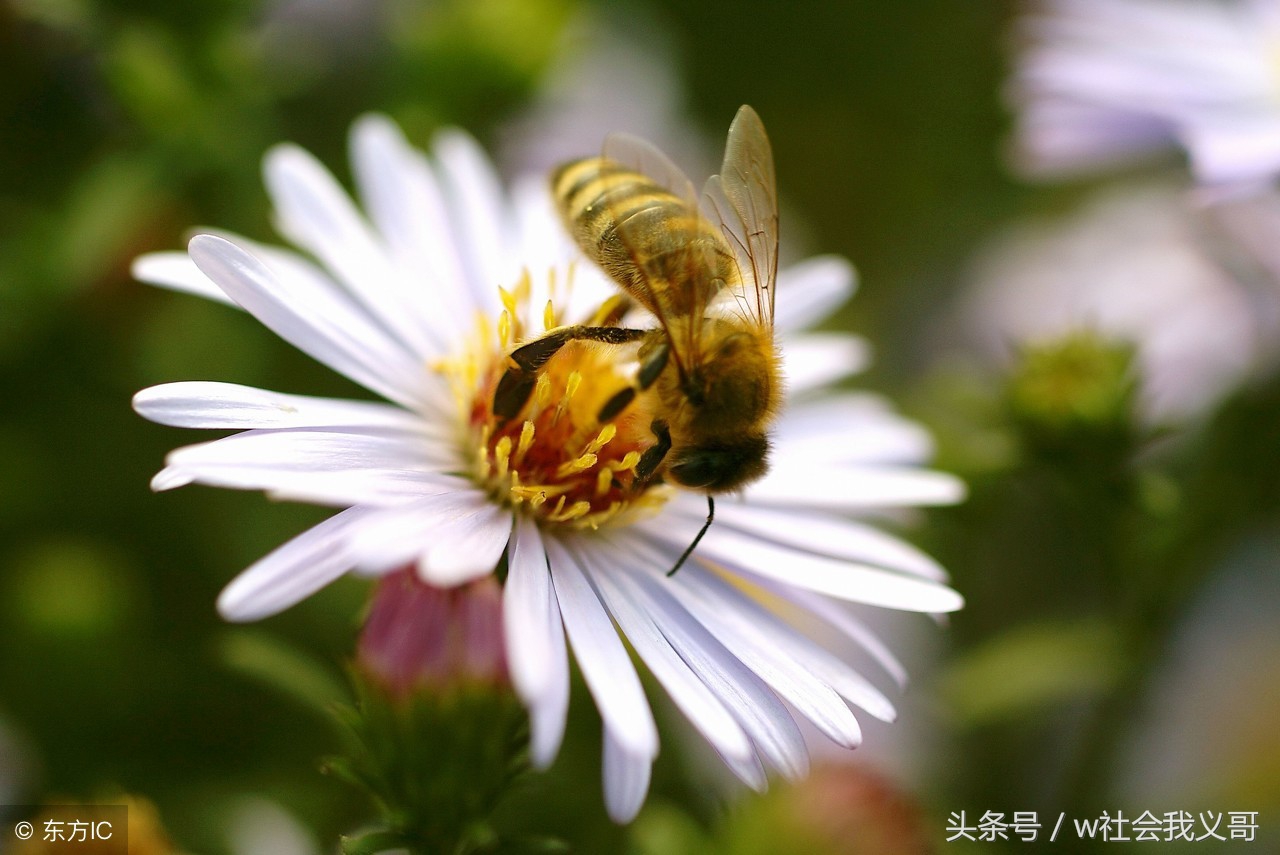 厚黑学：功名富贵如过眼云烟，慎重对待权力，正确看待金钱