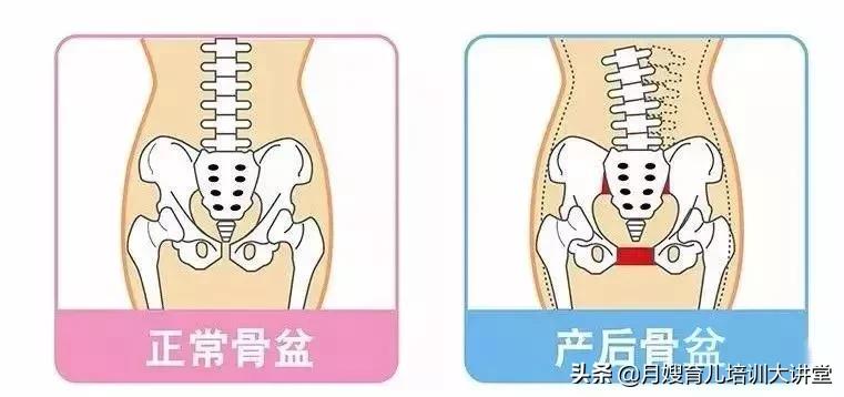 哈尔滨产后修复中心，带大家认识一下您身体的“三大管家”