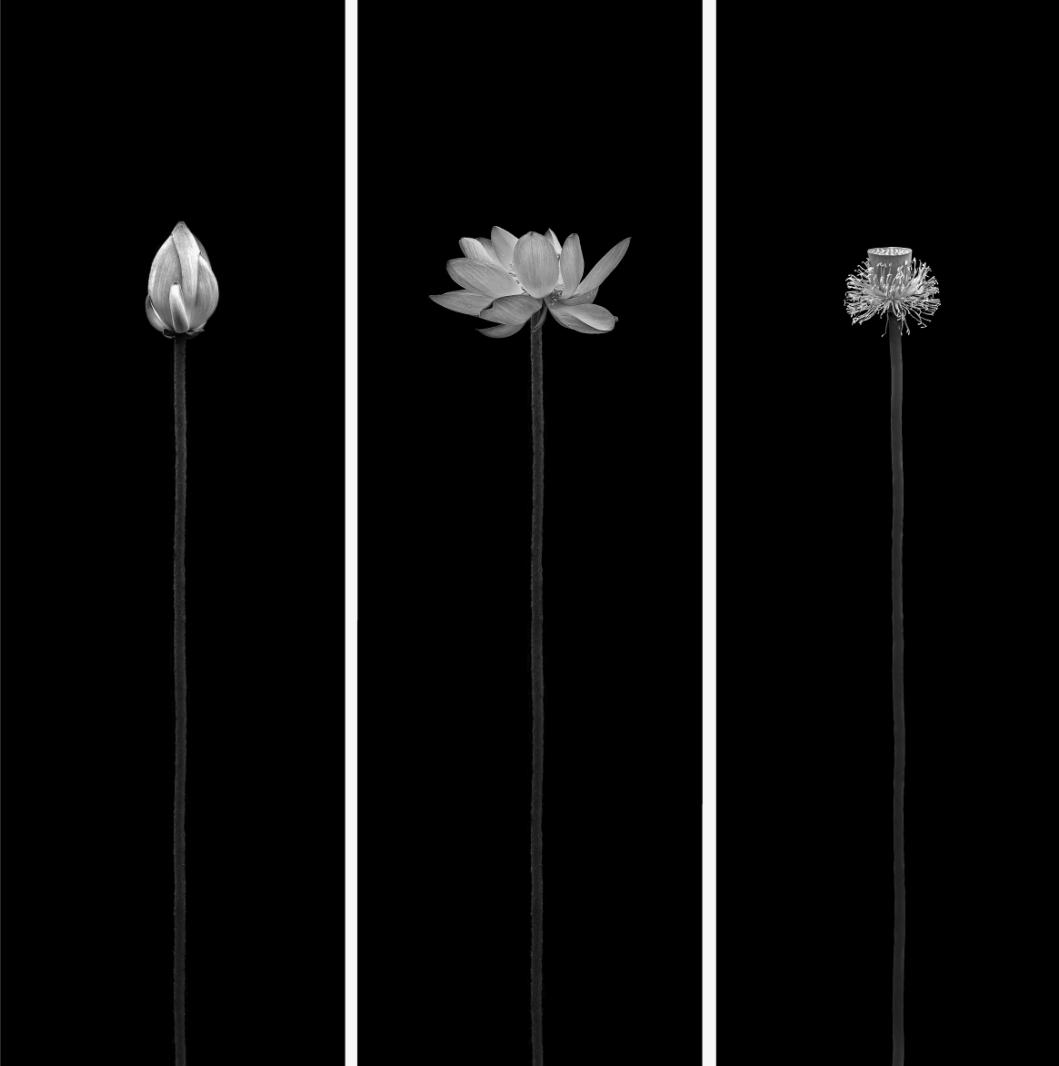 香港第14届全国摄影艺术展,第29届全国摄影艺术展览获奖名单