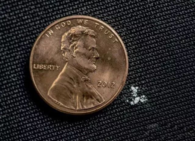 缉毒犬会染上毒瘾吗知乎文章,缉毒犬染上毒瘾怎么办