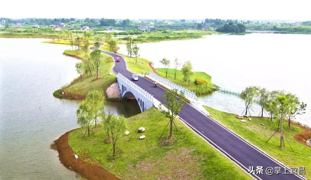 枝江市第十届田径运动会,枝江市比赛