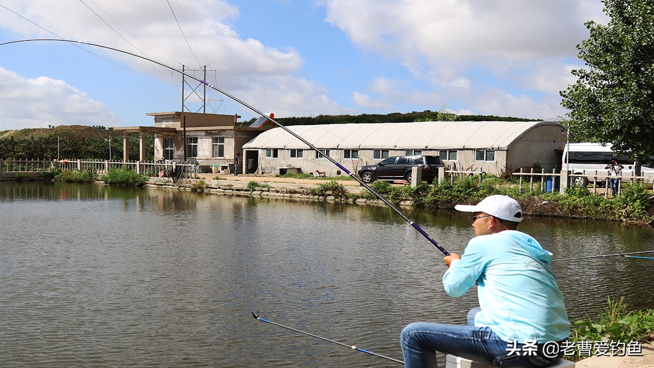 收费鱼塘钓鱼技巧,鱼塘钓鱼怎么收费合理