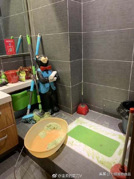 猫砂可以直接倒入马桶吗,猫砂可不可以倒入马桶