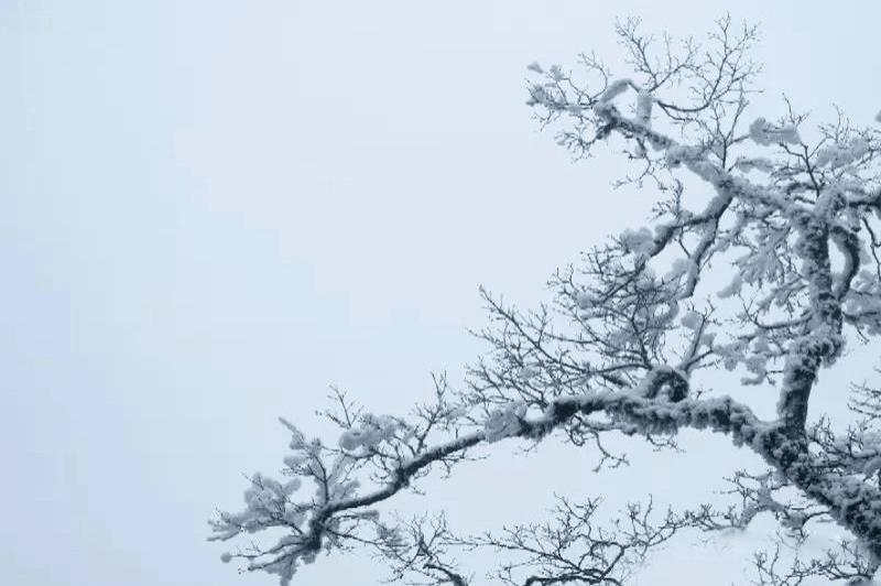 铜仁天气冷适合哪里玩,冬天铜仁旅游攻略