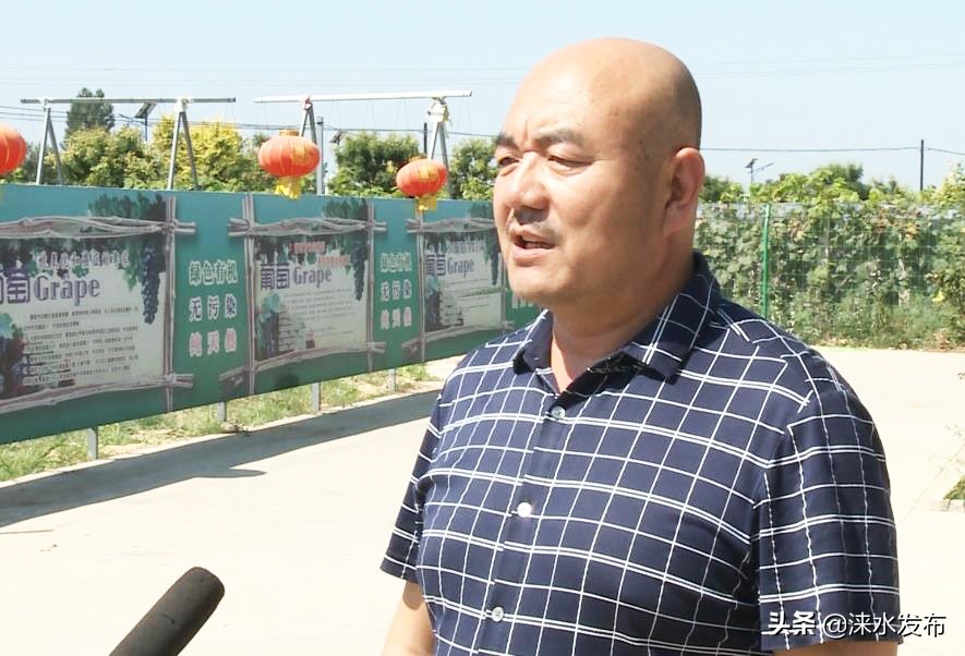 鐖卞績鍔╁啘鑻规灉鏂伴矞閲囨憳,鐖卞績浼佷笟鍔╅攢钁¤悇