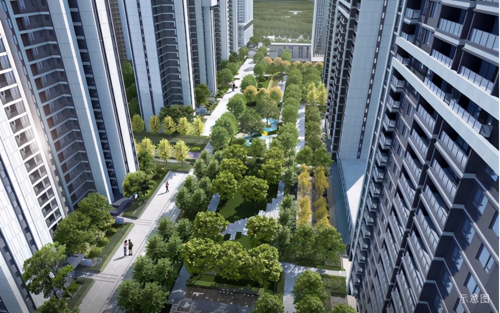 实探伟星公园大道,实探保利大都汇