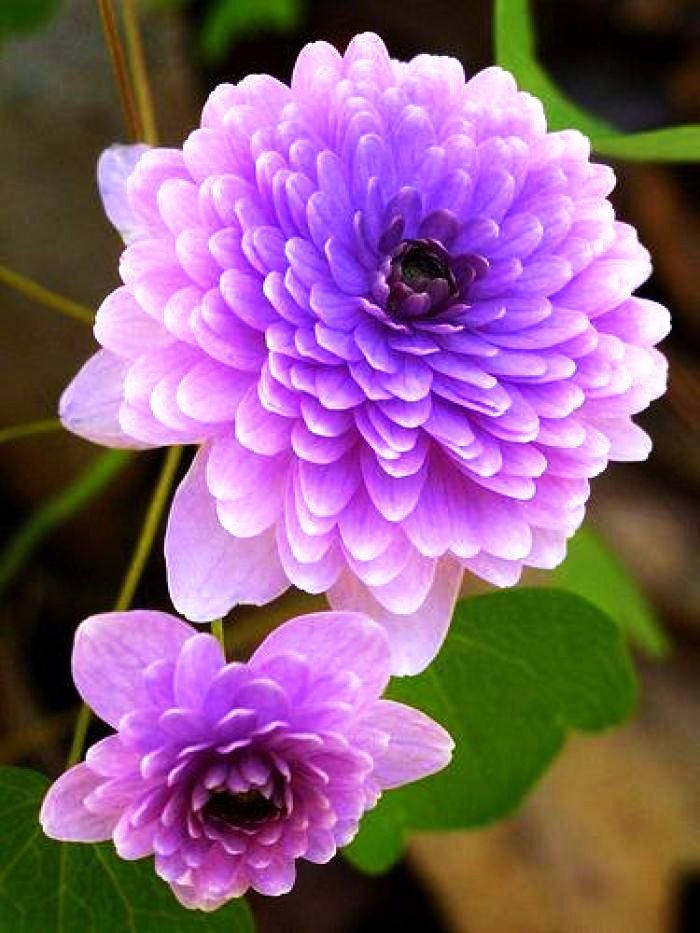 阳光乐观正能量的说说,励志语录经典感悟人生说说