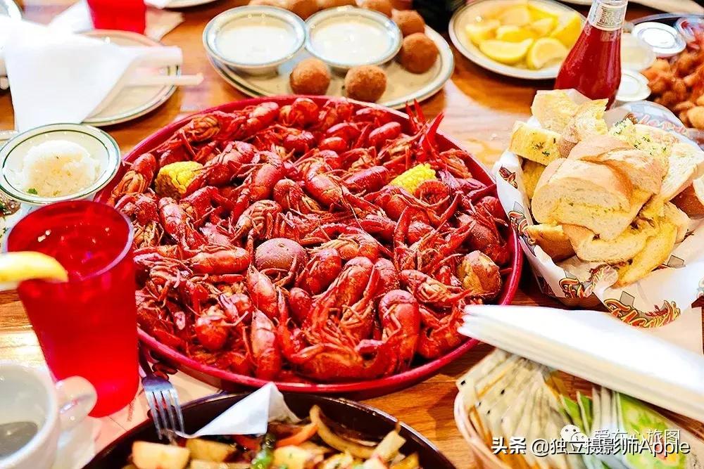 喂鳄鱼、看篮球比赛和太空中心的好玩休斯顿