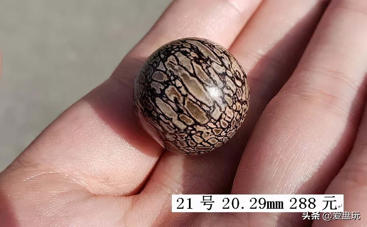 恐龙蛋化石手串,带恐龙化石手串