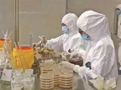 广东人用来煲汤的一种植物,广东煲汤料有哪些植物