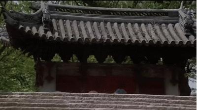 女性到底是个什么物种,女性是个神秘的物种